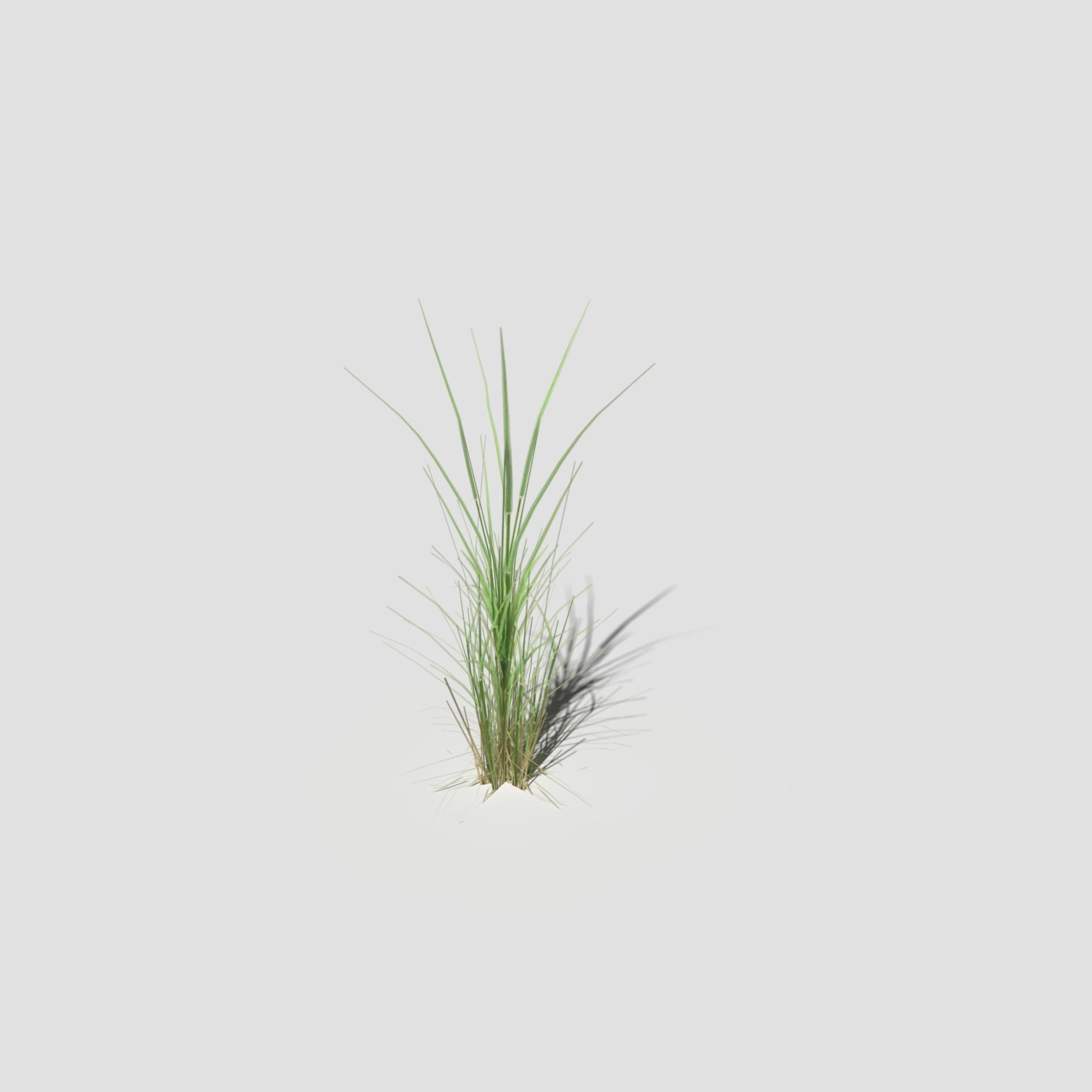 Low Poly Bent Grass Pack Low-poly 3D model_12