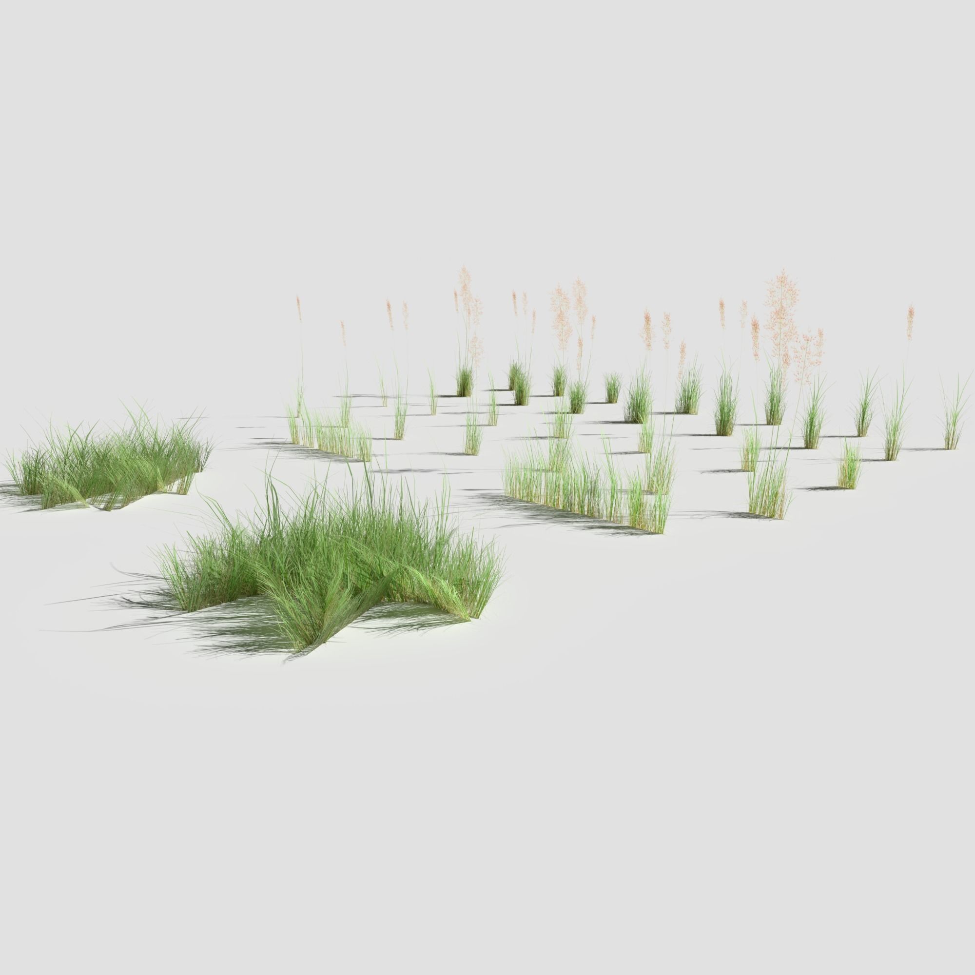 Low Poly Bent Grass Pack Low-poly 3D model_6
