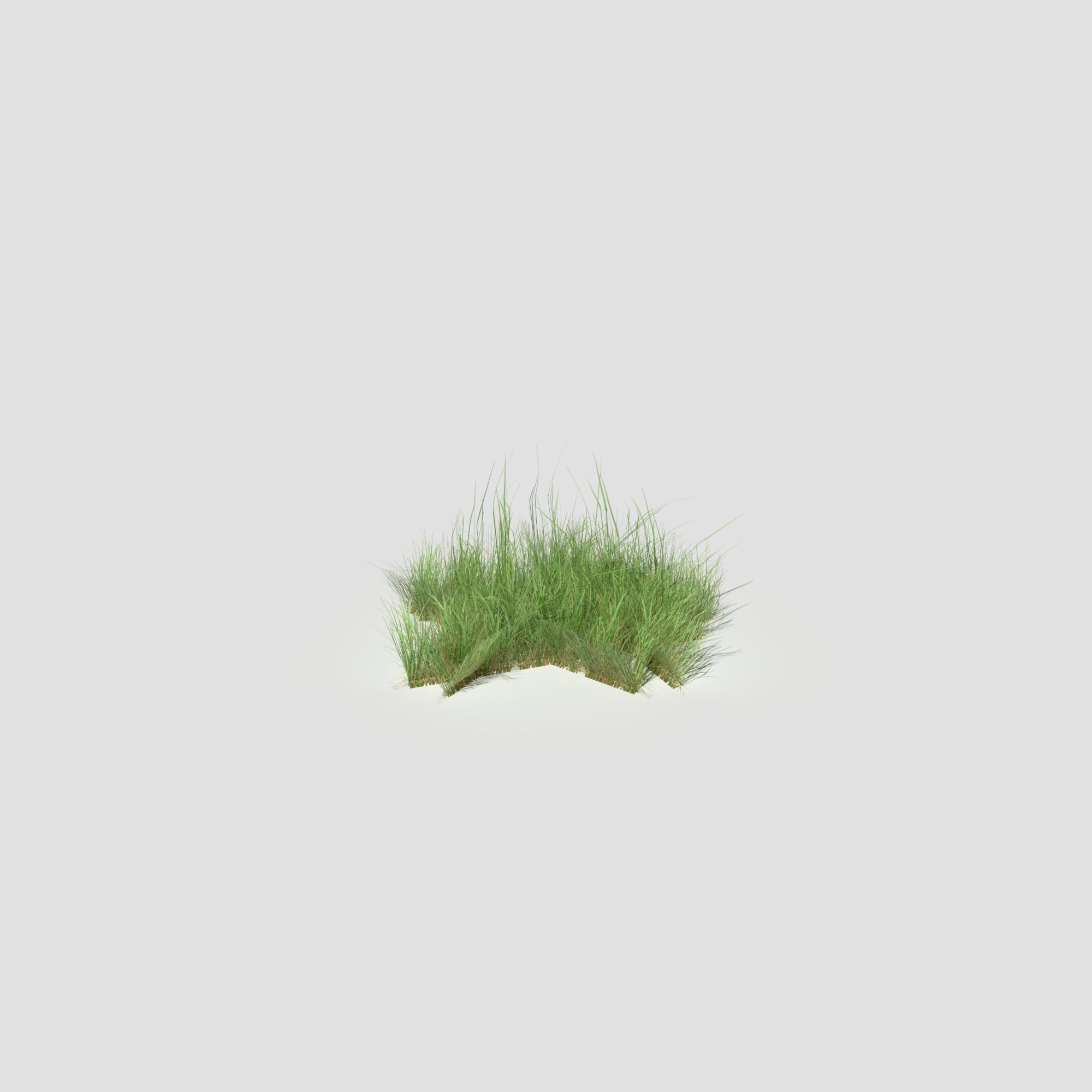 Low Poly Bent Grass Pack Low-poly 3D model_70