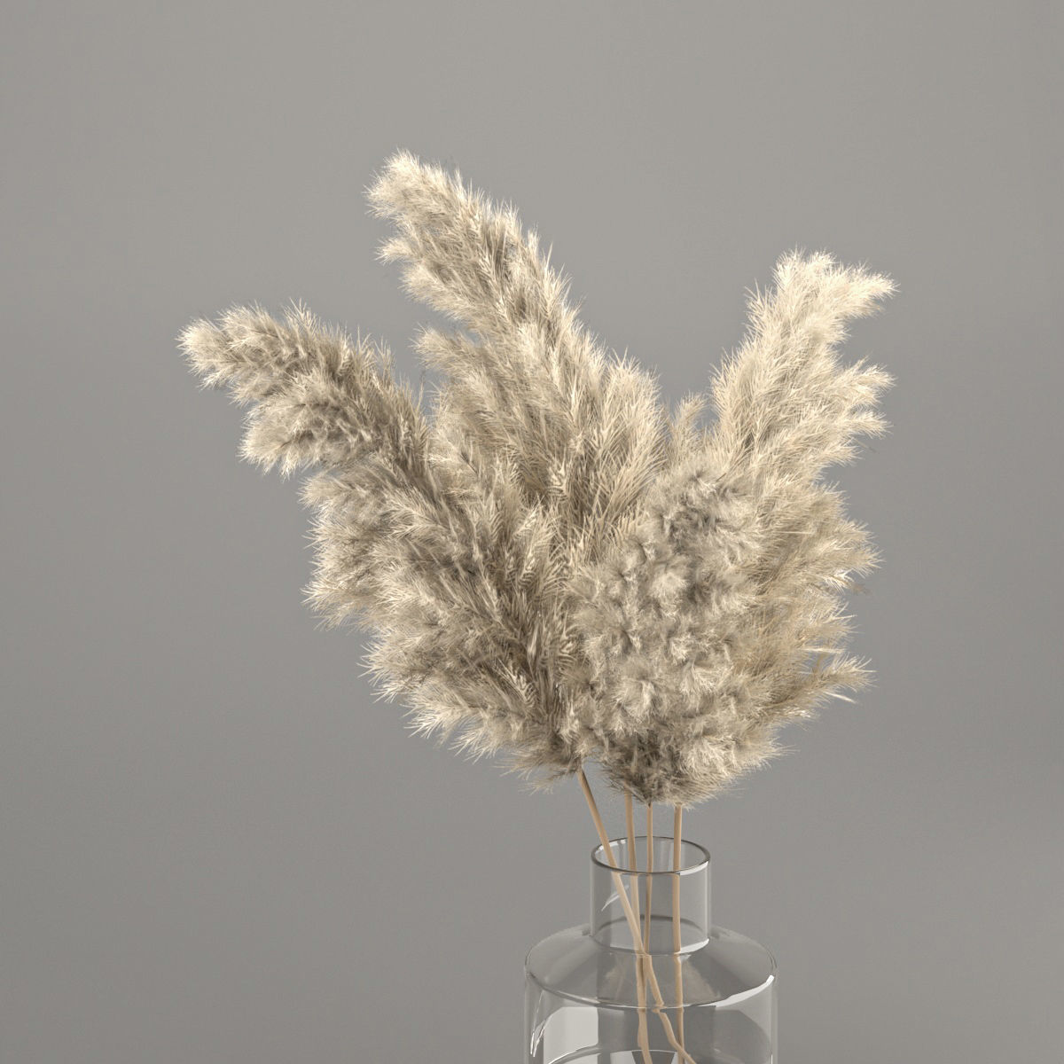 dry plant 3 in glass vase 3D model_2