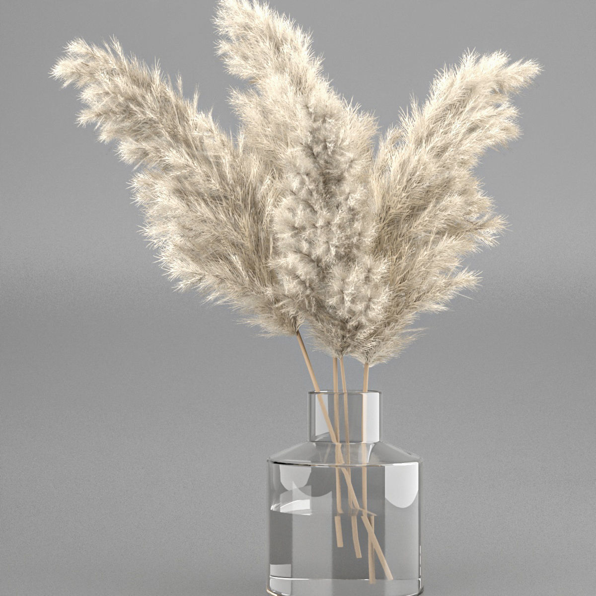 dry plant 3 in glass vase 3D model_1