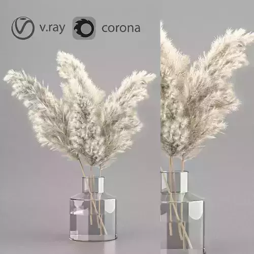 dry plant 3 in glass vase 3D model