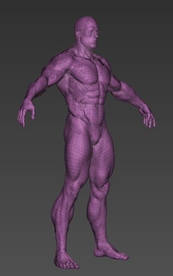 muscular man base mesh 3D model_1