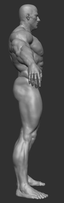 muscular man base mesh 3D model_4