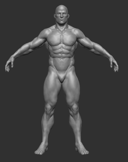 muscular man base mesh 3D model_2