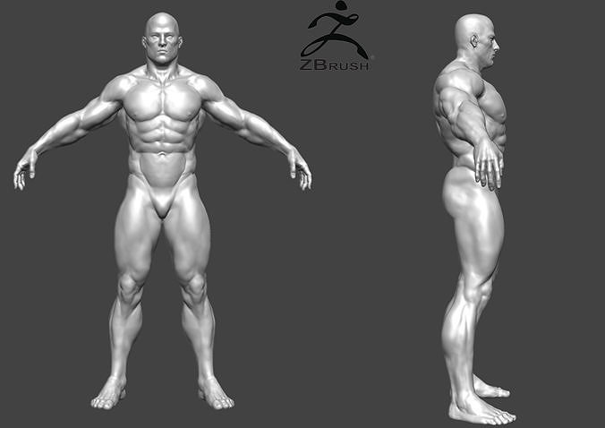 muscular man base mesh 3D model