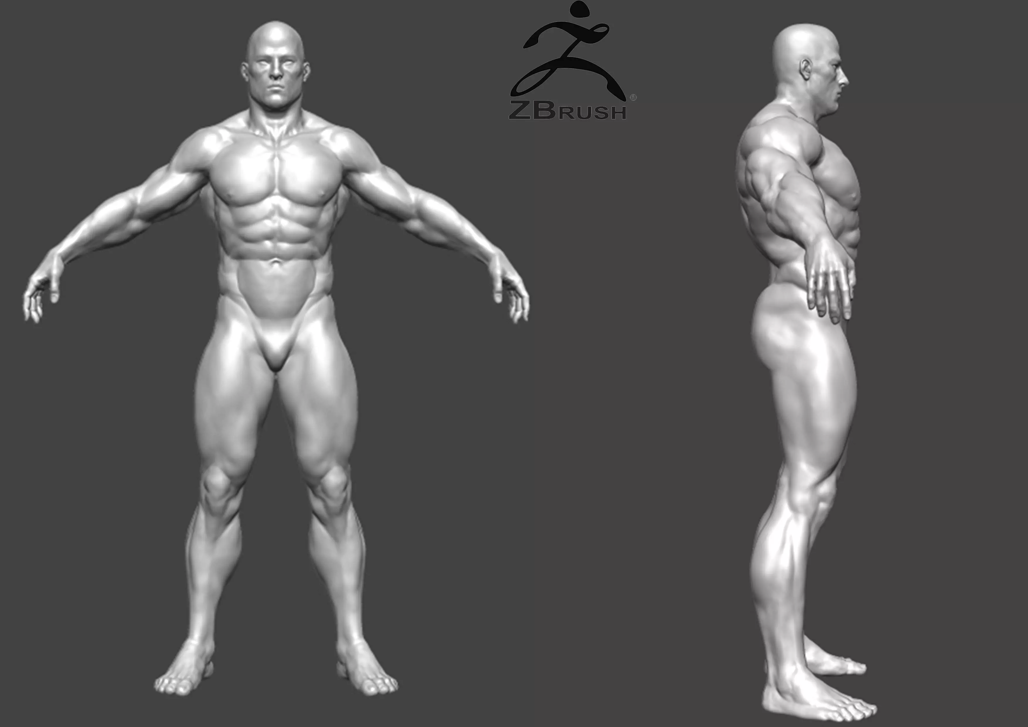 muscular man base mesh 3D model_0