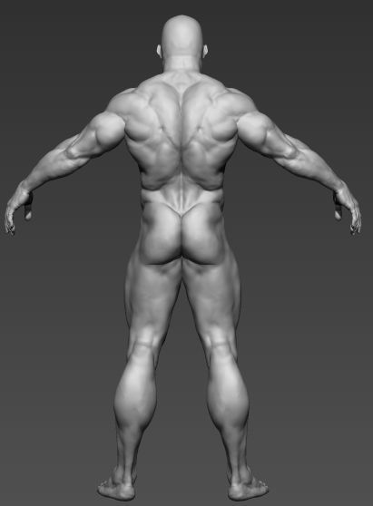 muscular man base mesh 3D model_3