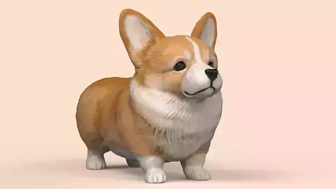 Cute Corgi STL and VRML for