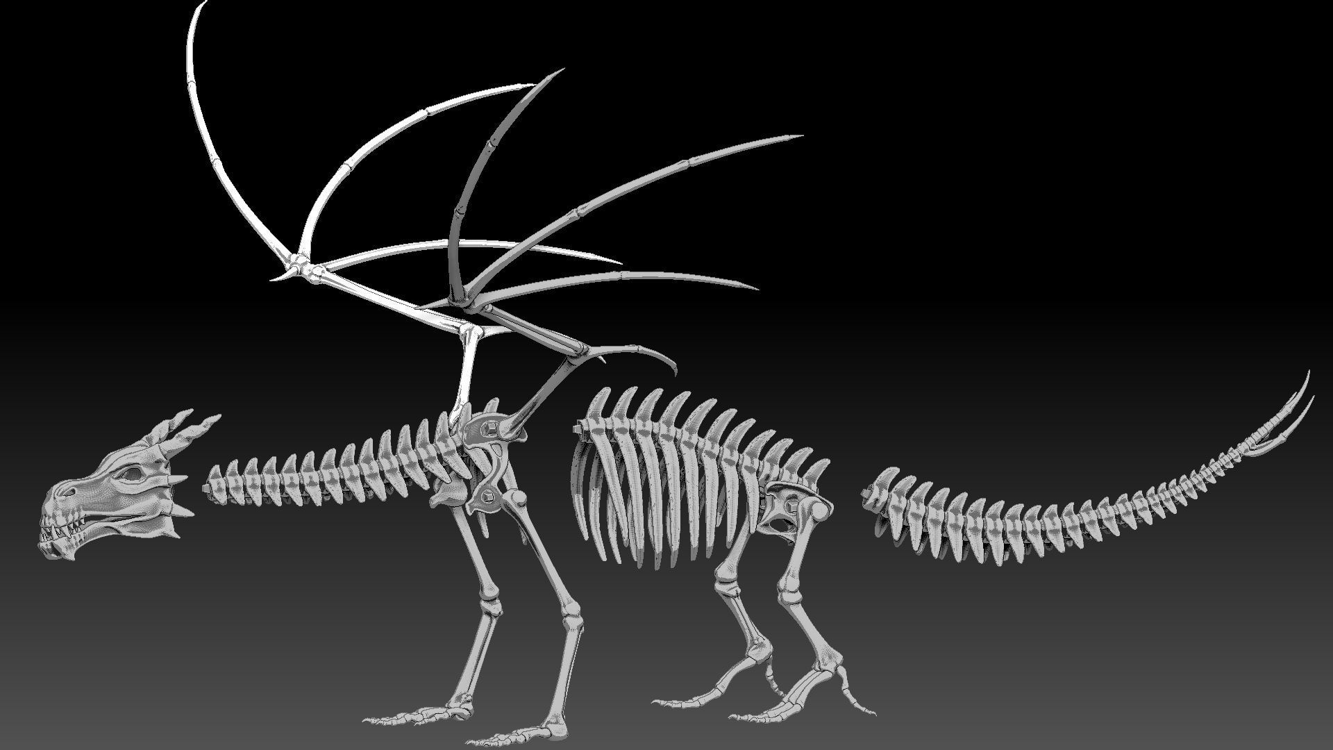 Dragon skeleton Low-poly 3D model_6