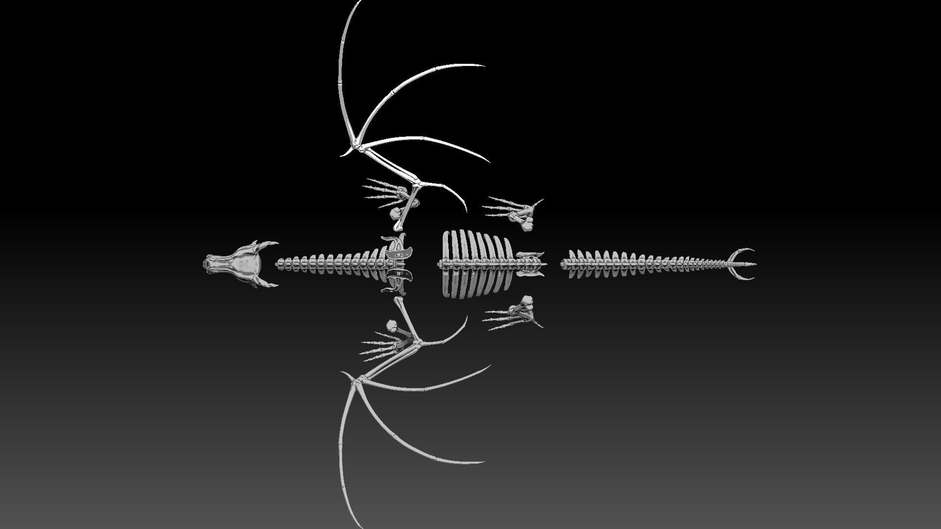 Dragon skeleton Low-poly 3D model_9