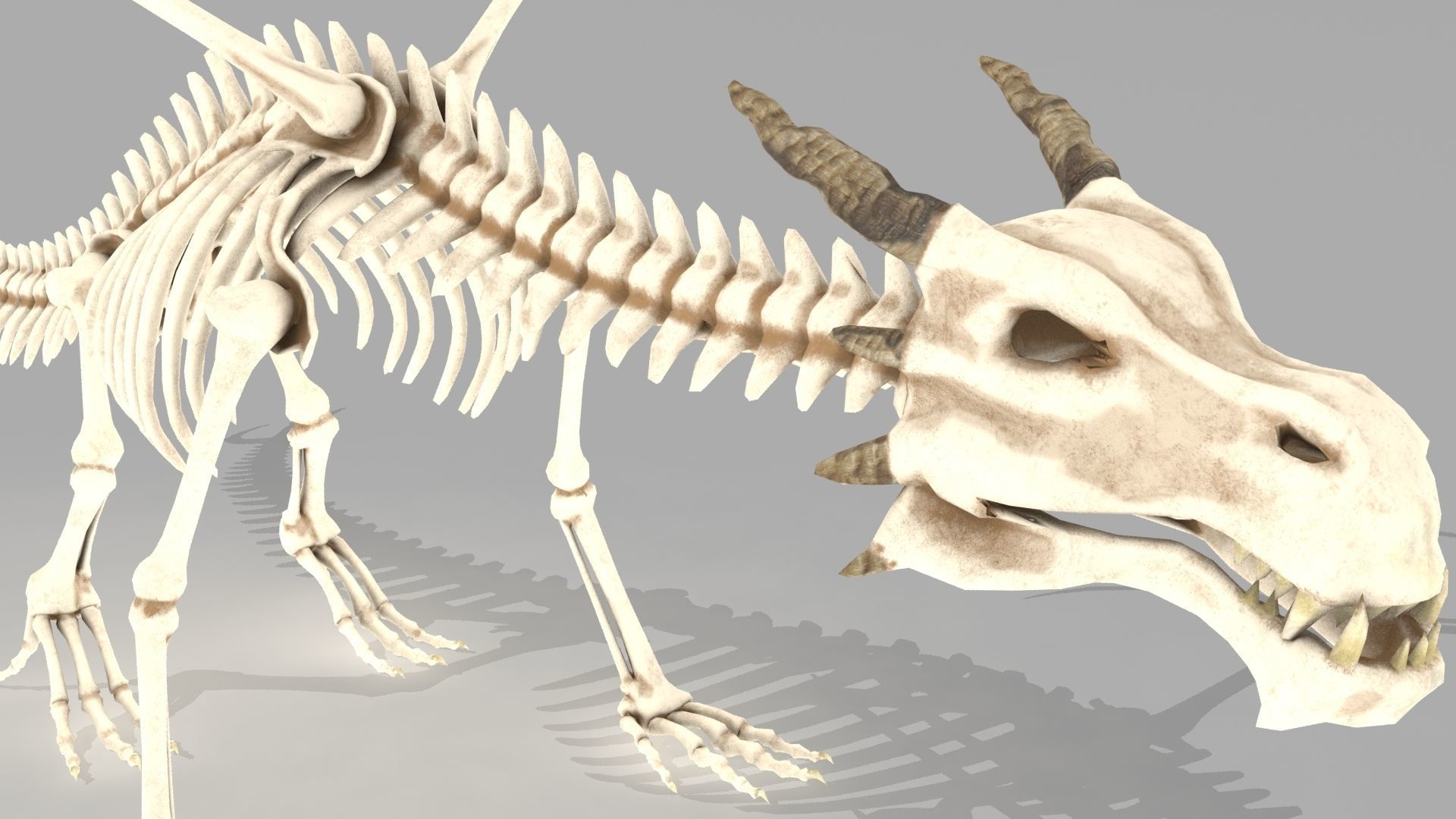 Dragon skeleton Low-poly 3D model_4