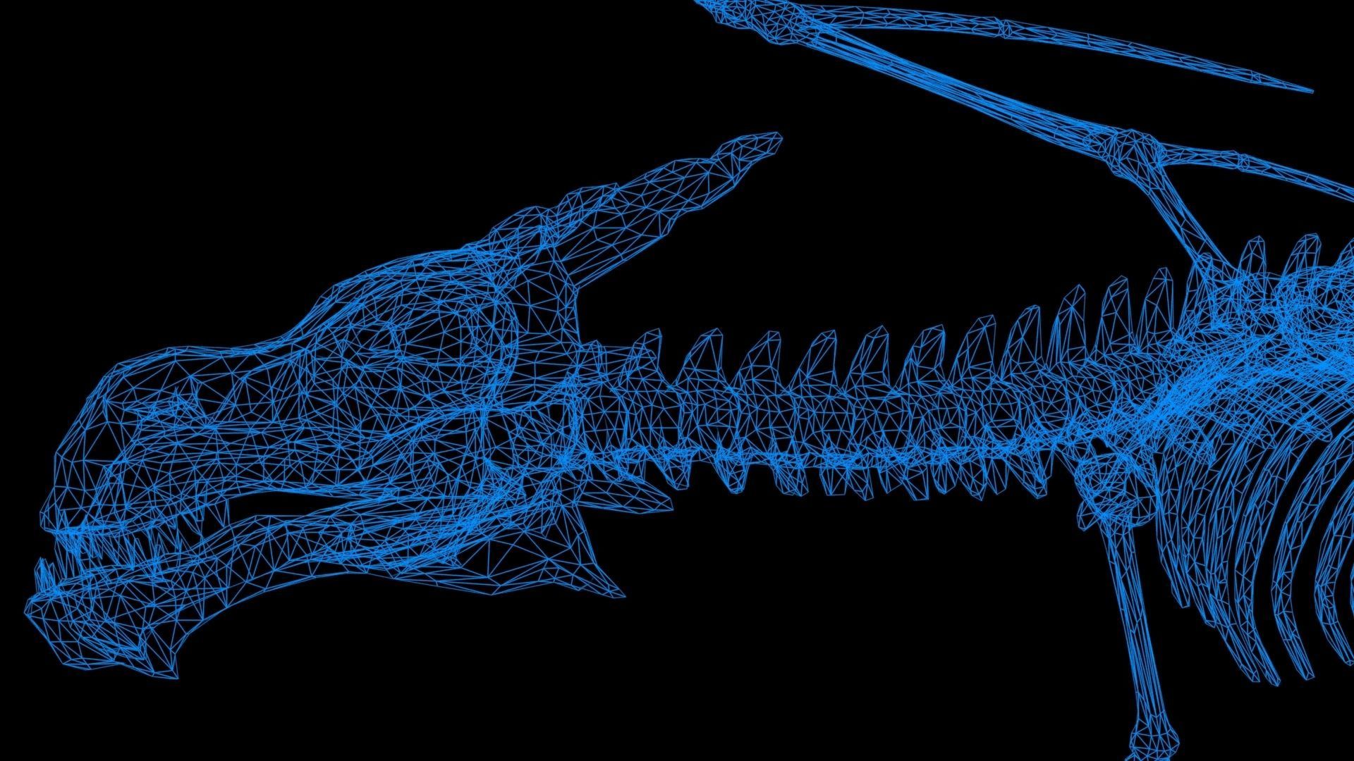 Dragon skeleton Low-poly 3D model_14