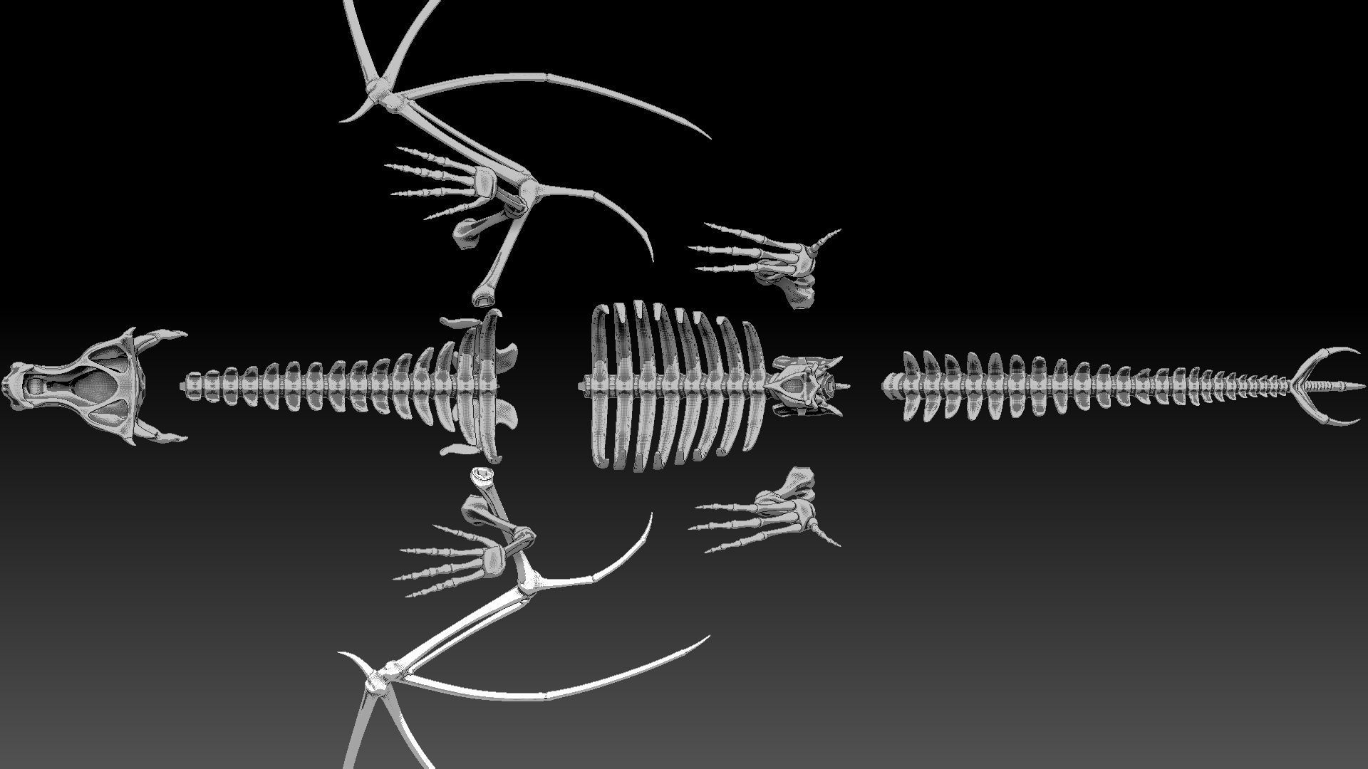 Dragon skeleton Low-poly 3D model_8