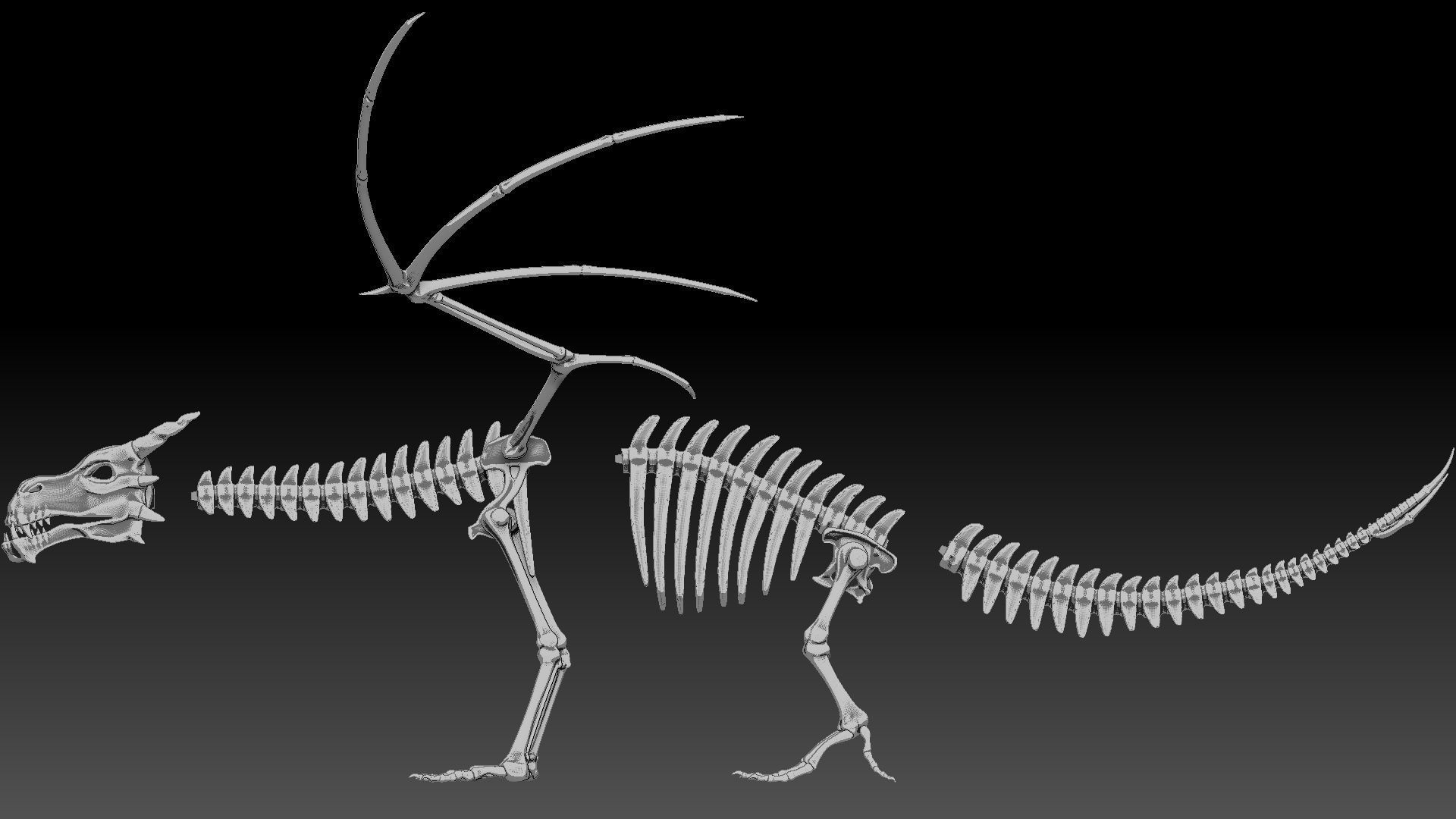 Dragon skeleton Low-poly 3D model_7