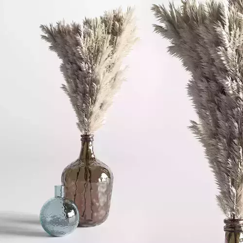 bouquet 07 vase glass dry plants pampas