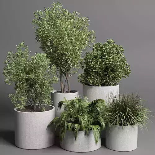 Collection  34 pot grass and tree and palm concrete vase
