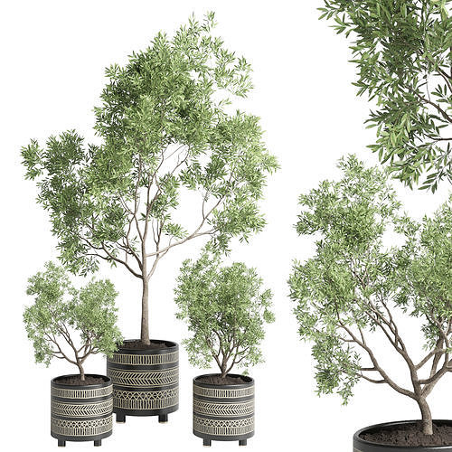 Collection Indoor plant 60 vase handmade pottery plant tree pot 3D model