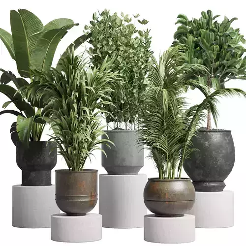  vase handmade metal old pot plant and tree palm