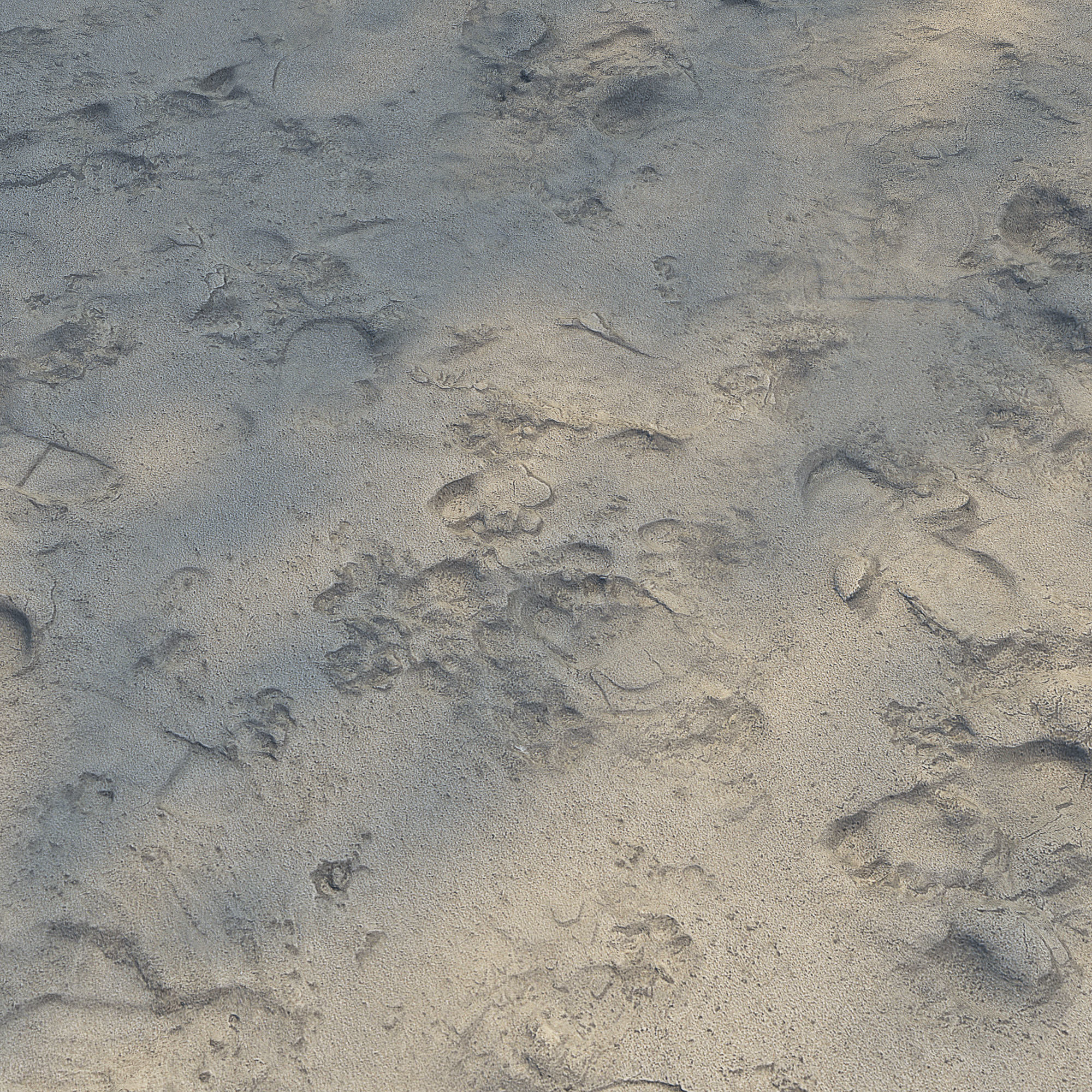 Ultra realistic Beach sand geometry 3 3D model_3