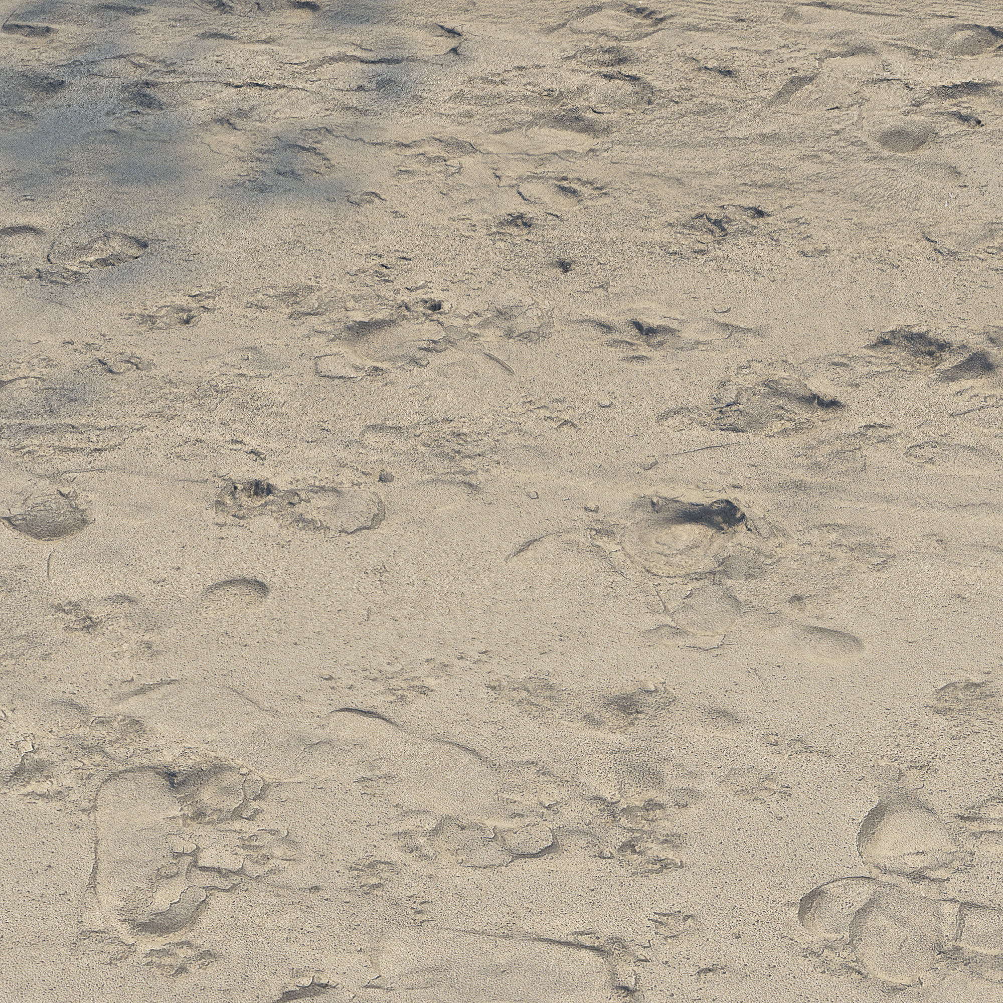 Ultra realistic Beach sand geometry 3 3D model_1