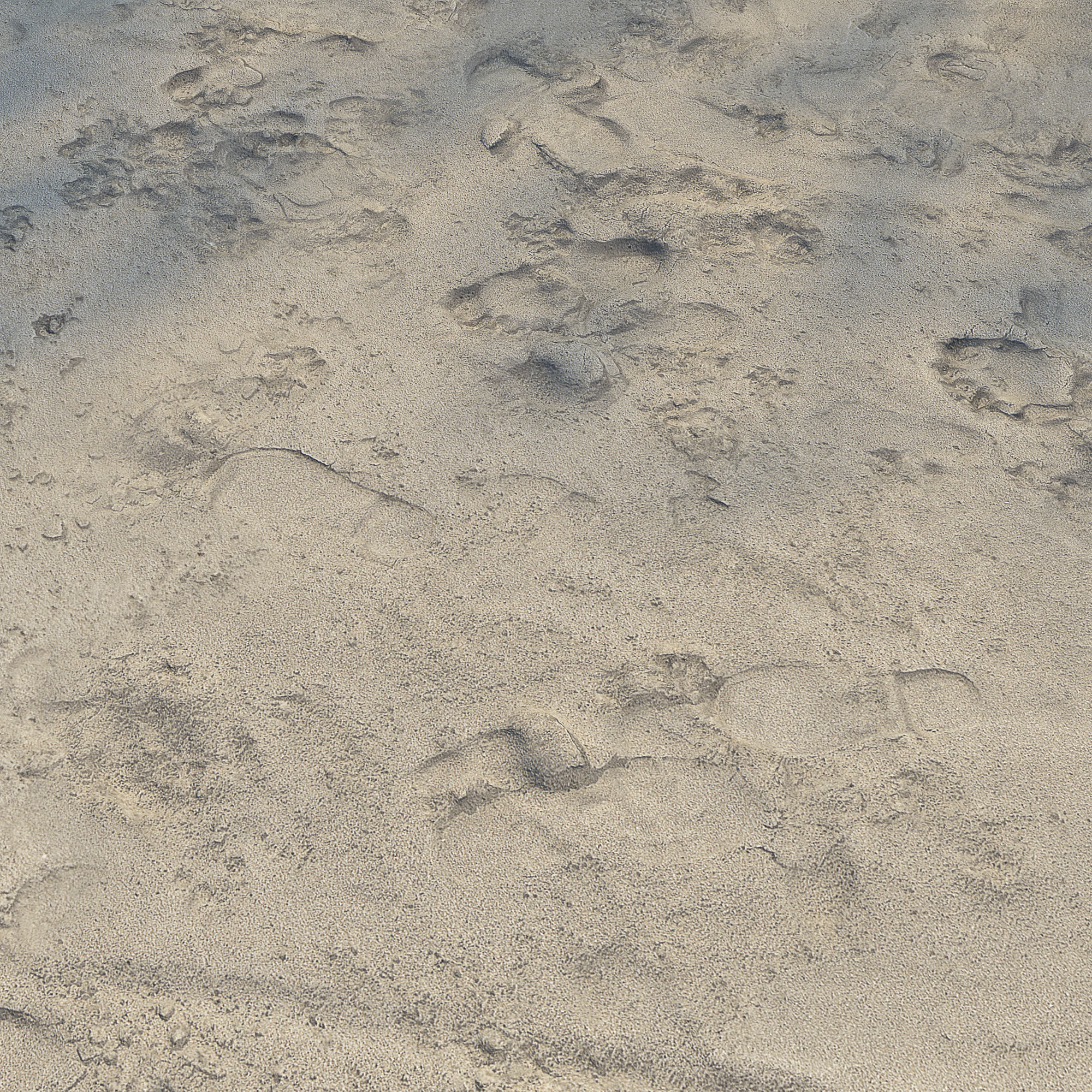 Ultra realistic Beach sand geometry 3 3D model_4