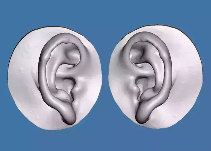 Natural human ear anatomy 10yrs boy 3D print model
