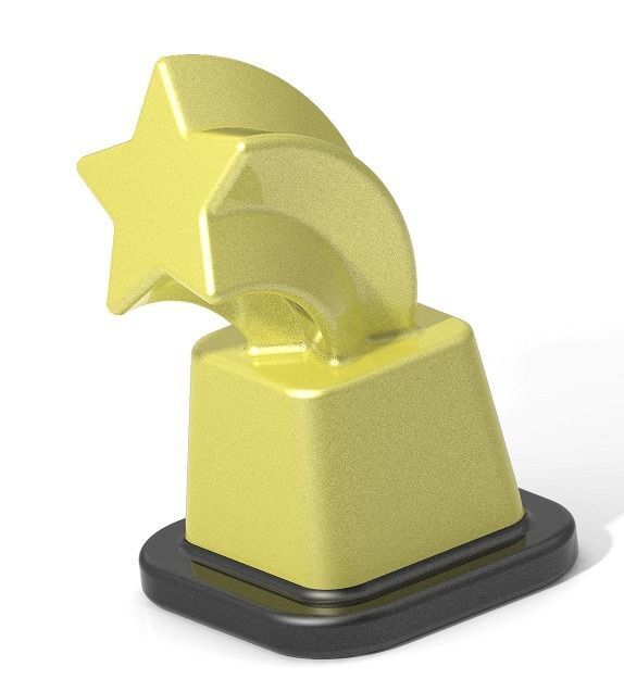 Classic Star Trophy 3D print model_1
