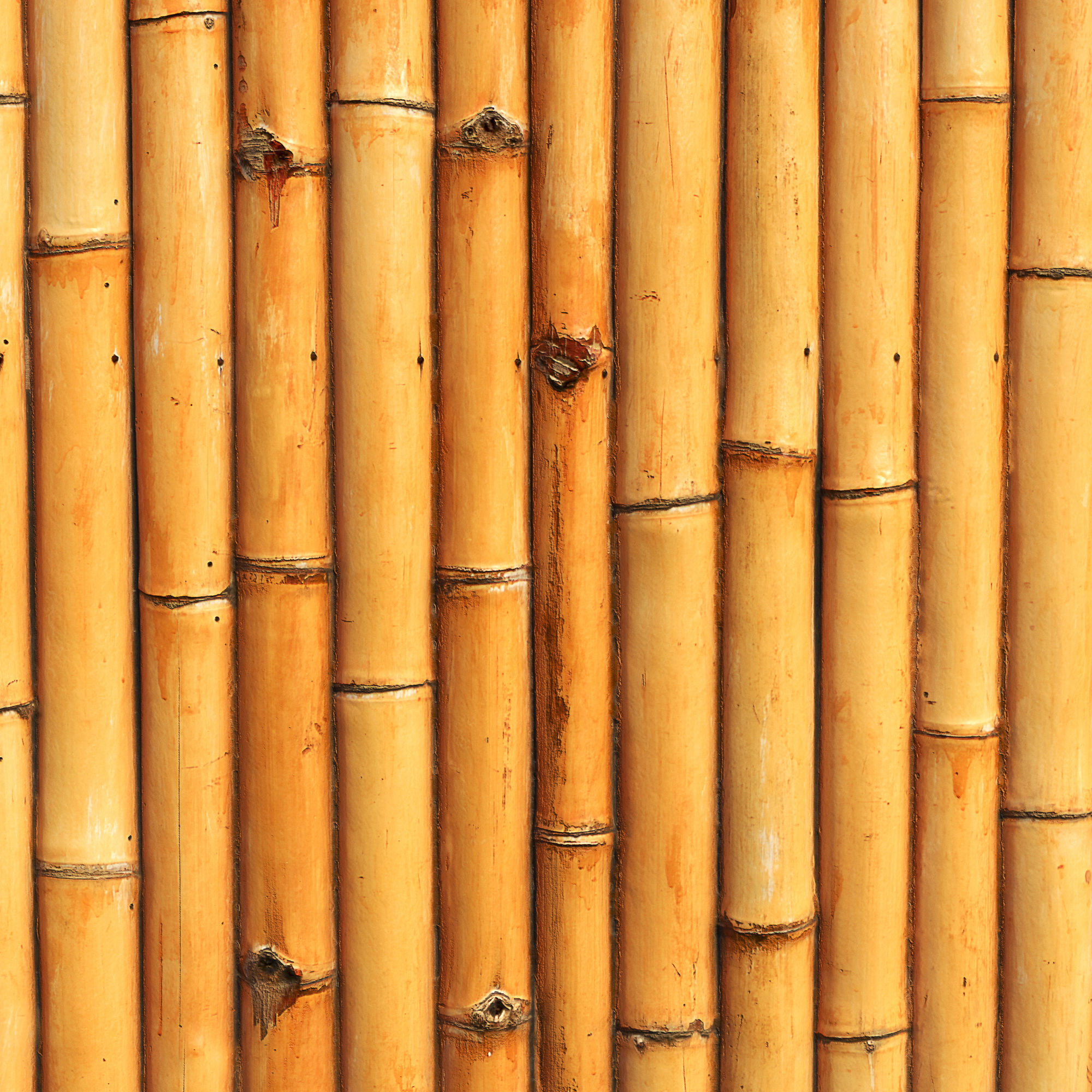 Ultra realistic  bamboo wall geometry  3D model_2