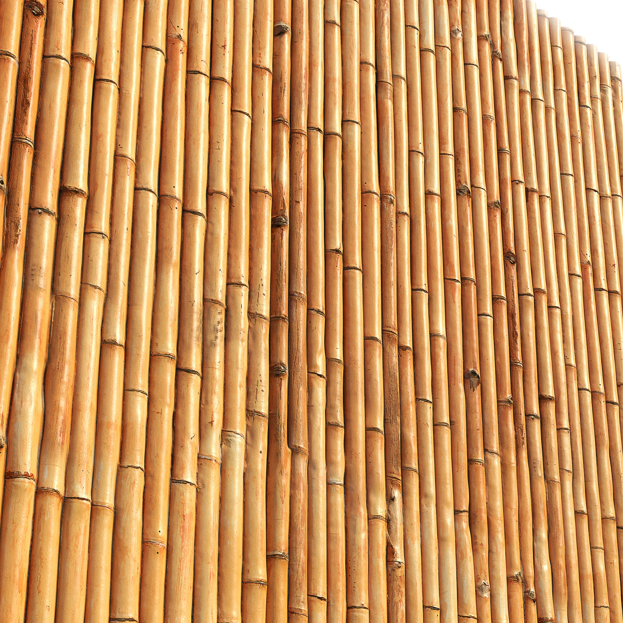 Ultra realistic  bamboo wall geometry  3D model_1