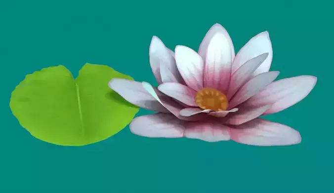 Stylized Water Lily