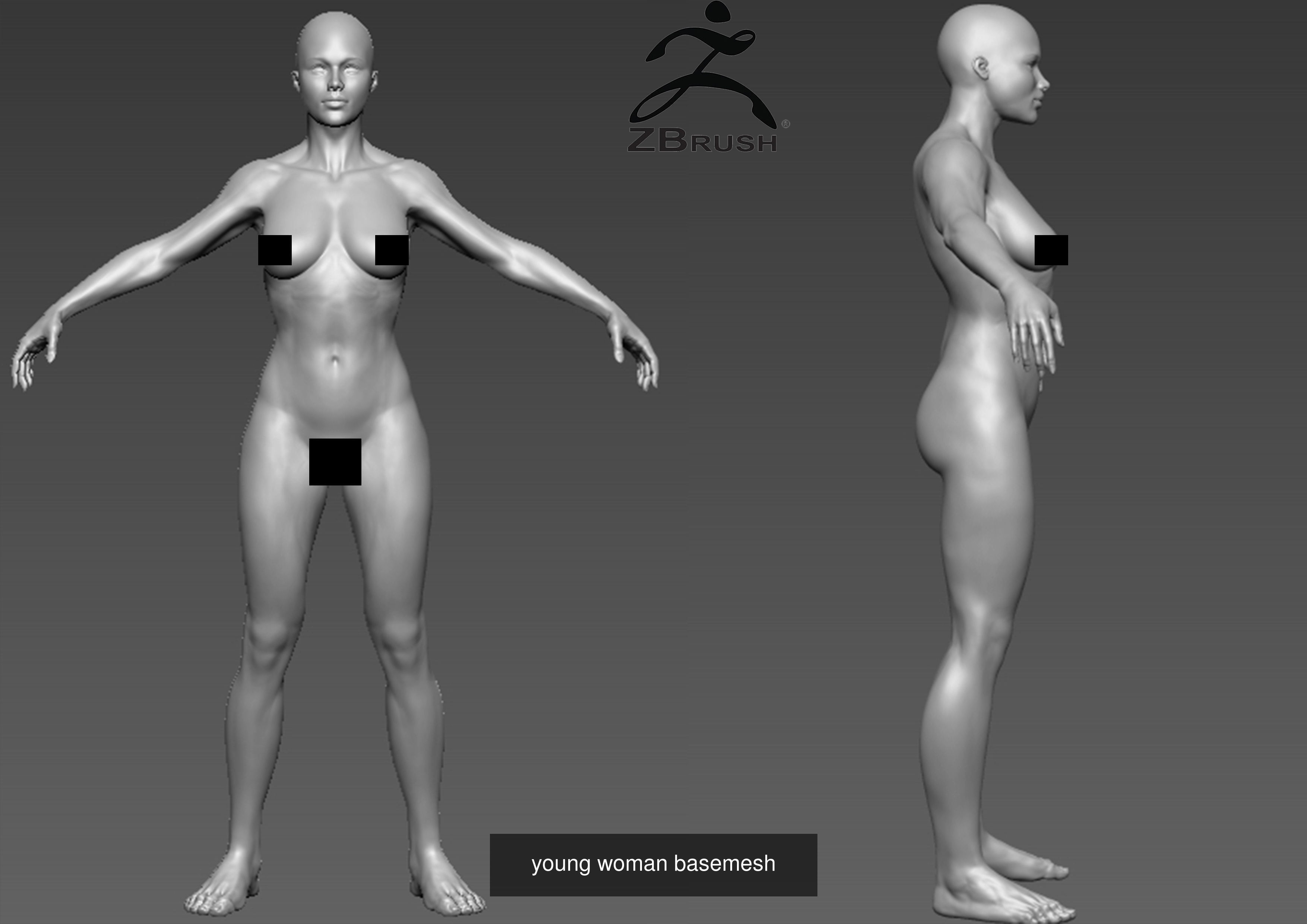 human base mesh 3D Model Collection_1