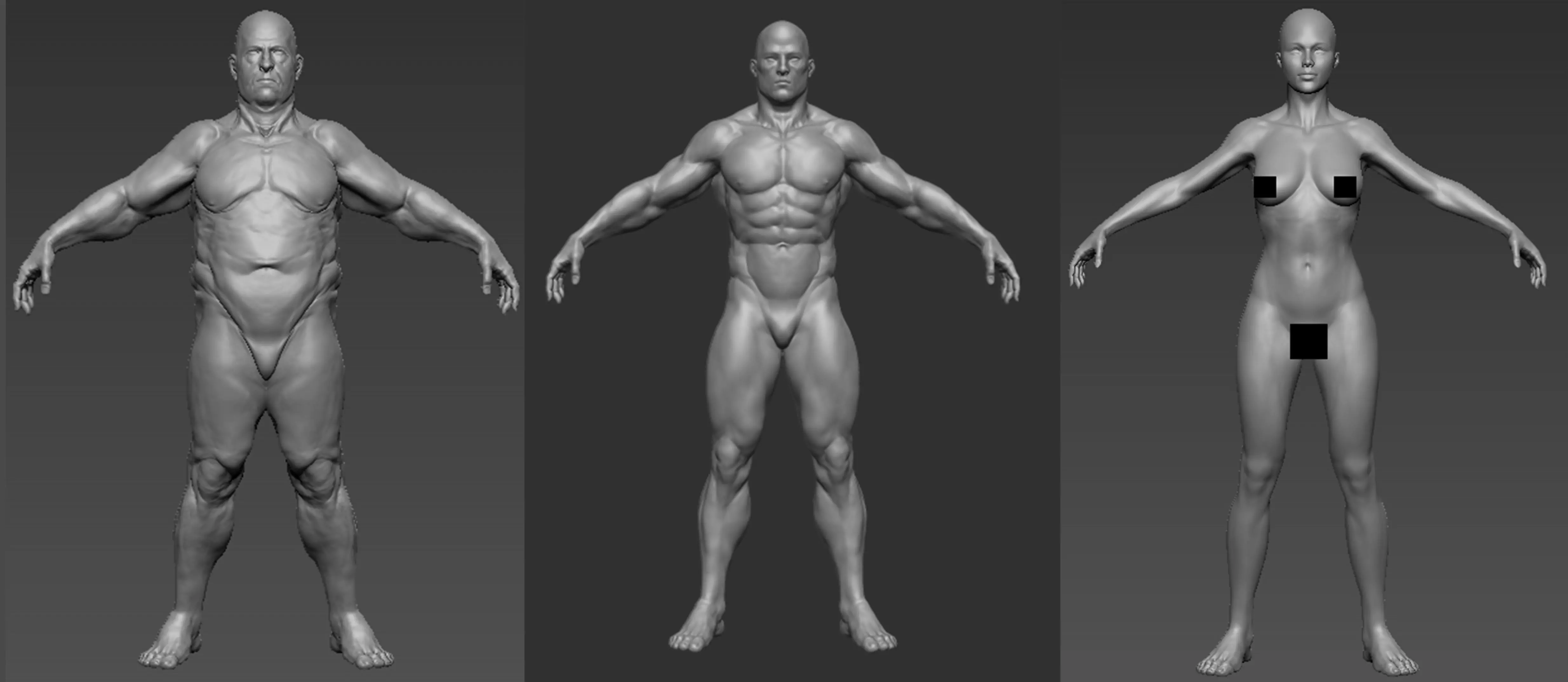 human base mesh 3D Model Collection_0
