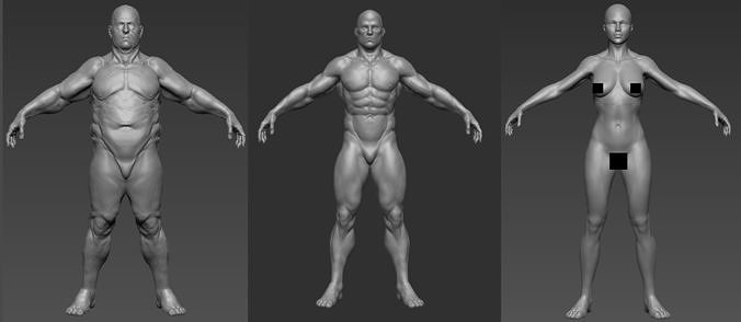 human base mesh 3D Model Collection