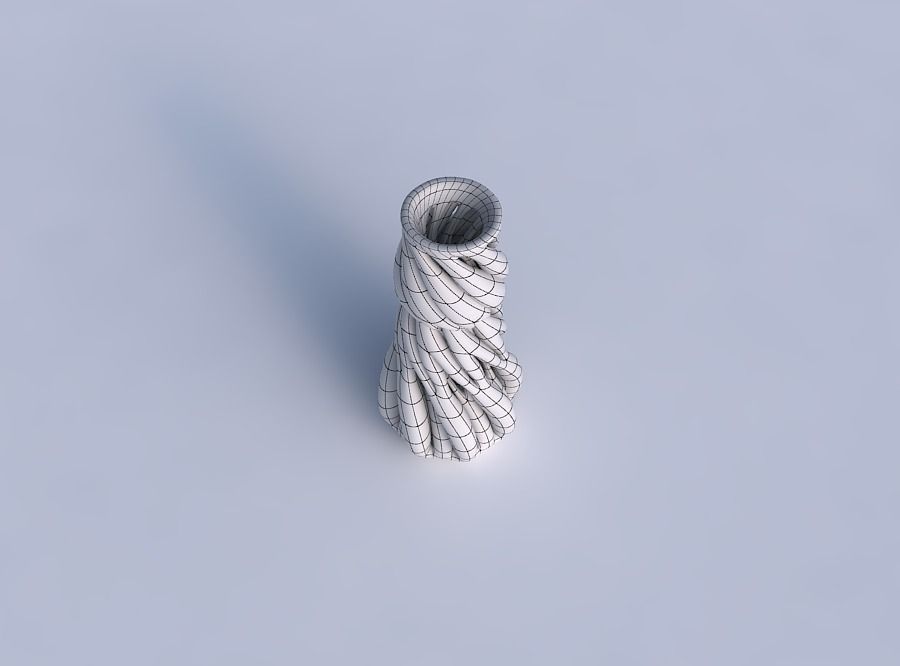 Vase with fat intertwining lines twisted and tapered 3D print model_6