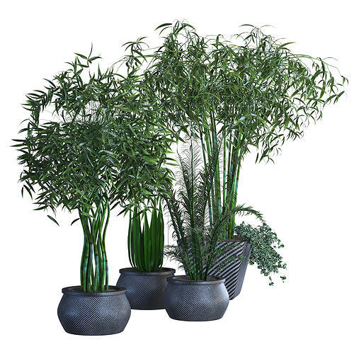 plant vol 02 3D model