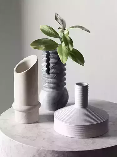 Vases with Plants 5