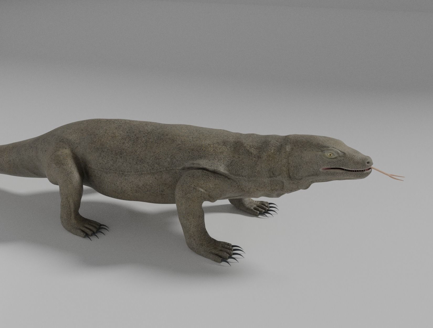 KOMODO DRAGON 3D model_17