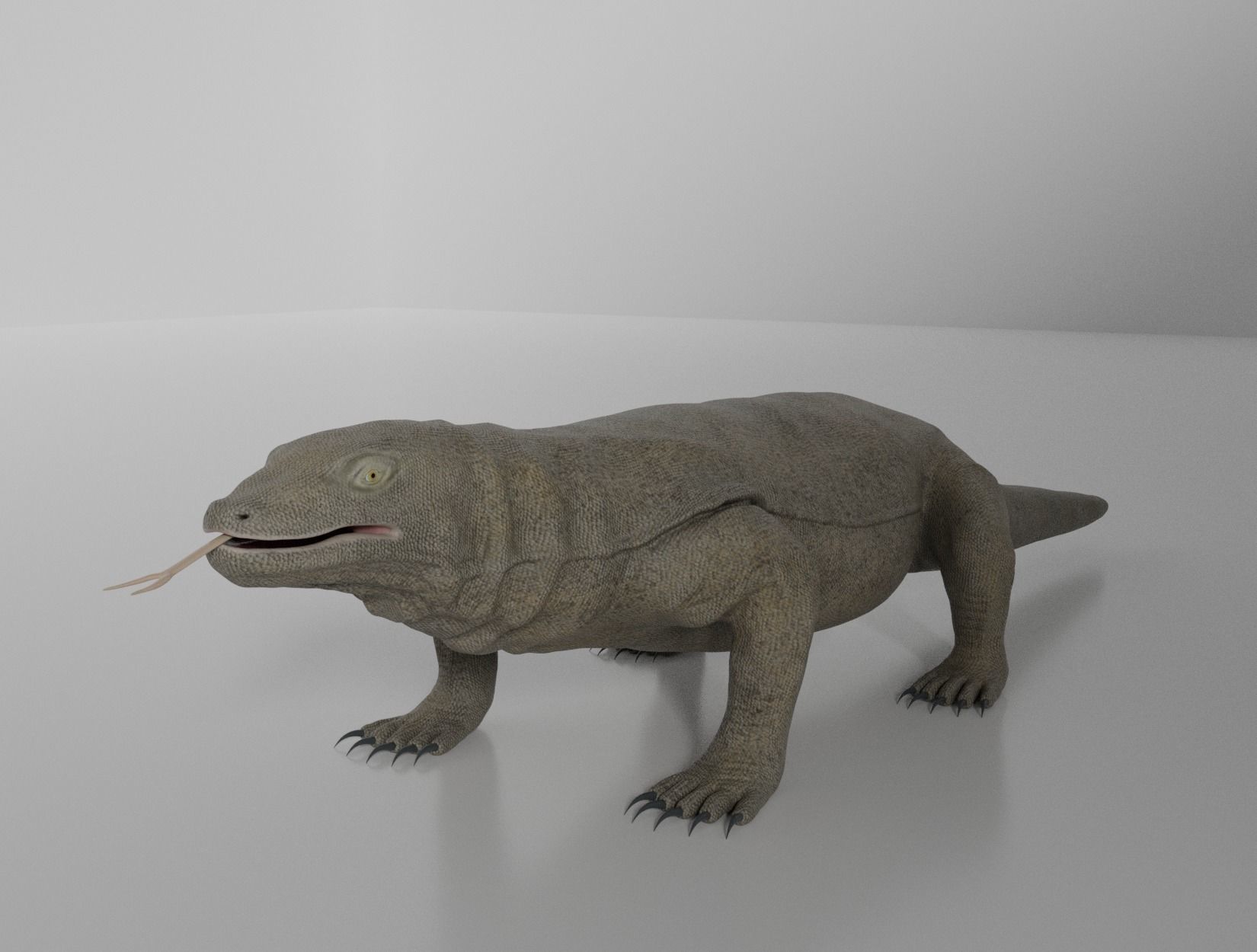 KOMODO DRAGON 3D model_6