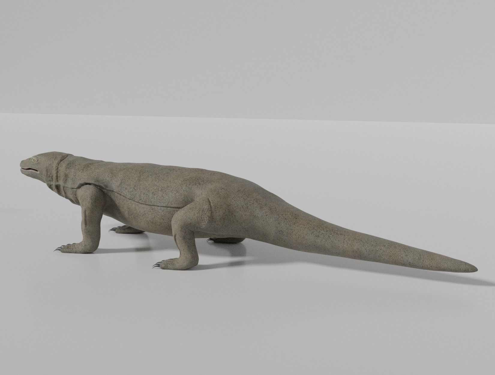 KOMODO DRAGON 3D model_14
