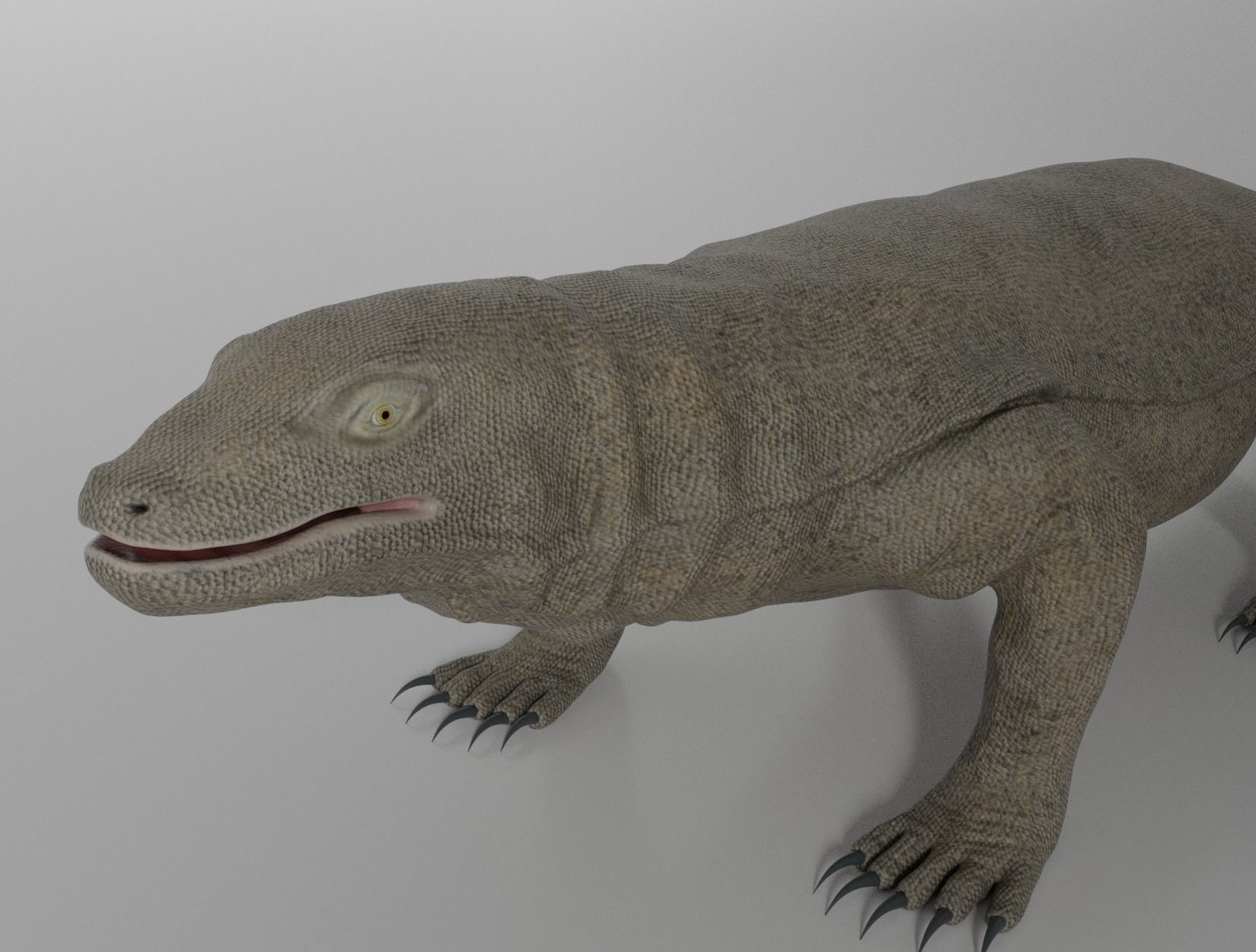 KOMODO DRAGON 3D model_12
