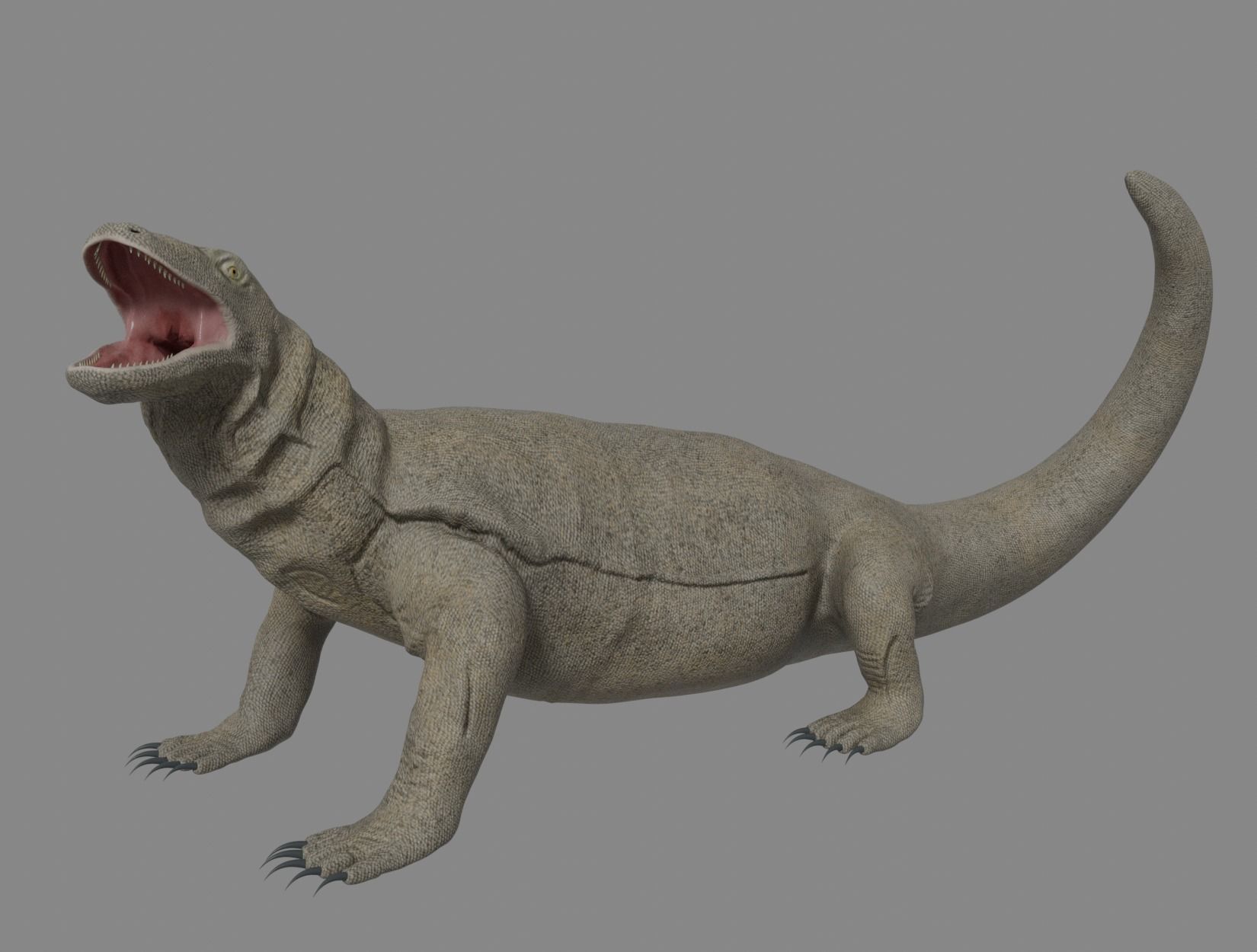KOMODO DRAGON 3D model_5