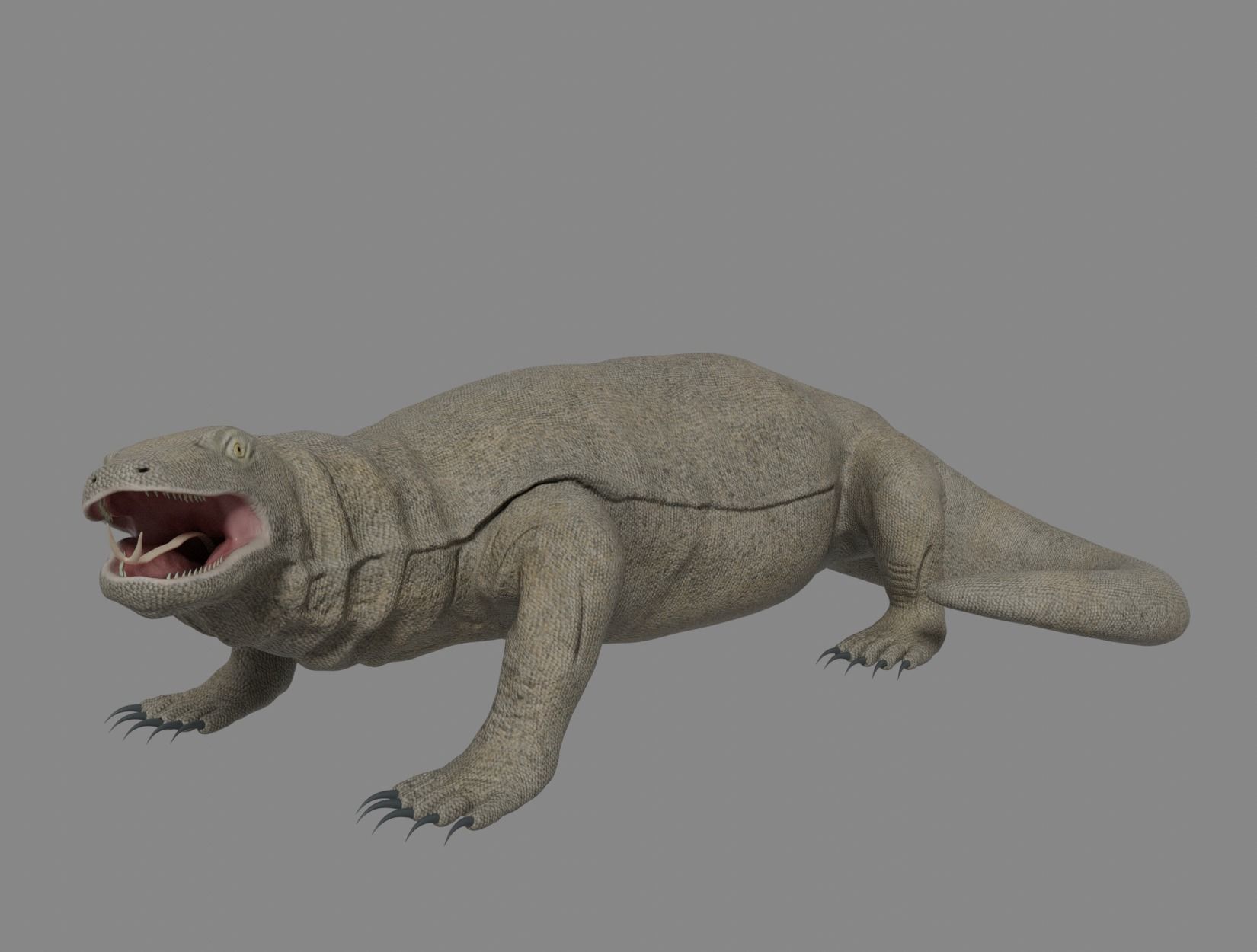 KOMODO DRAGON 3D model_7