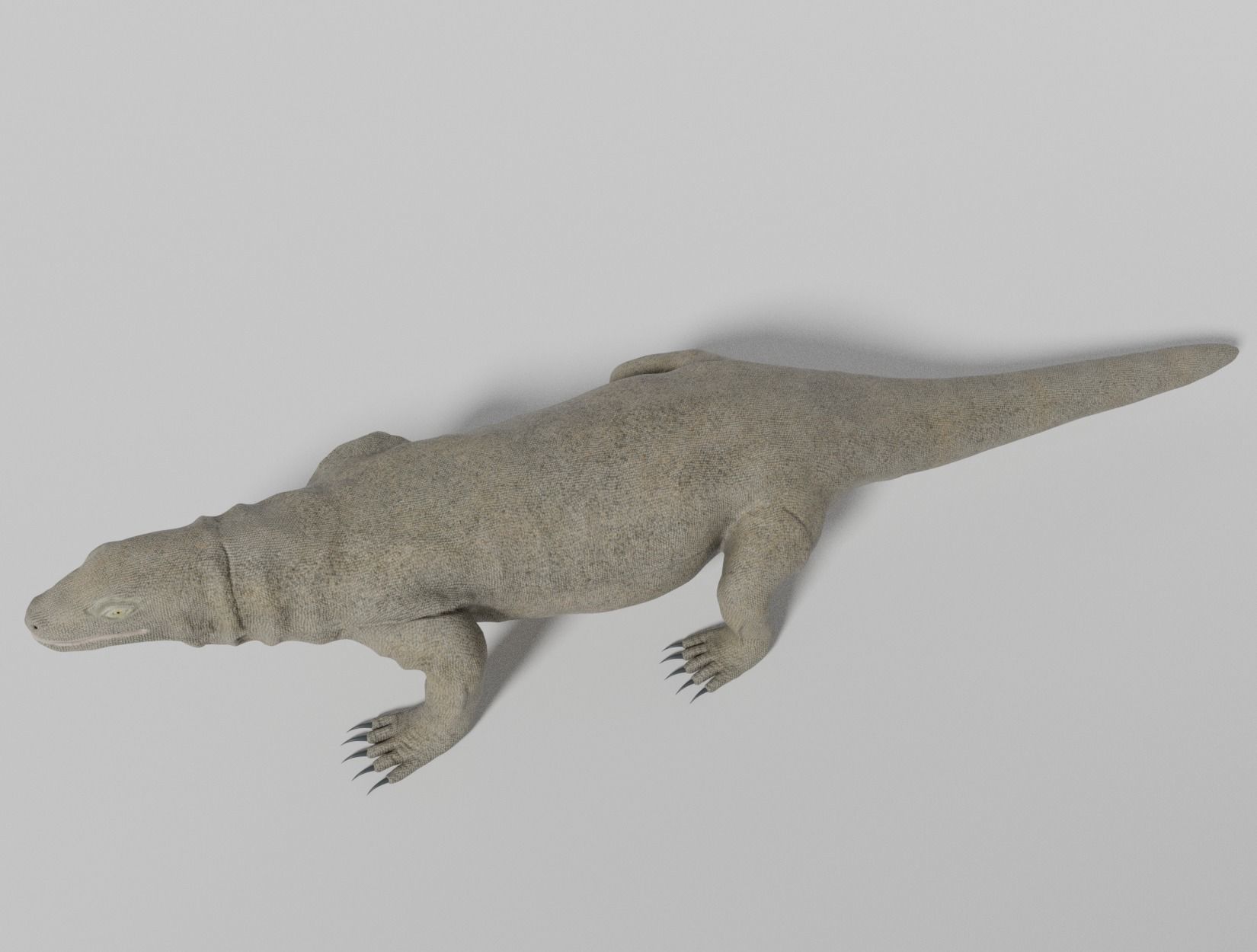 KOMODO DRAGON 3D model_13