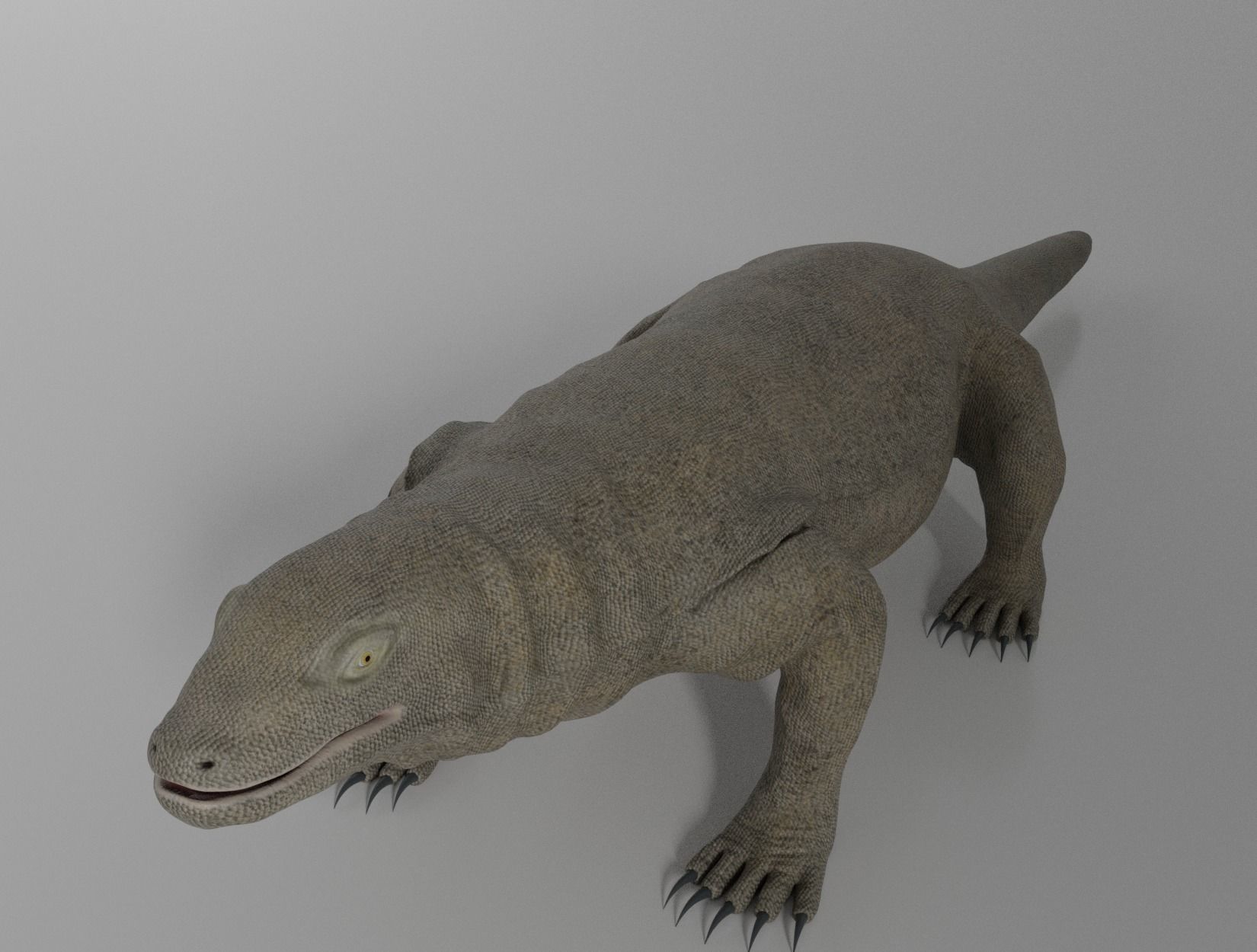 KOMODO DRAGON 3D model_8