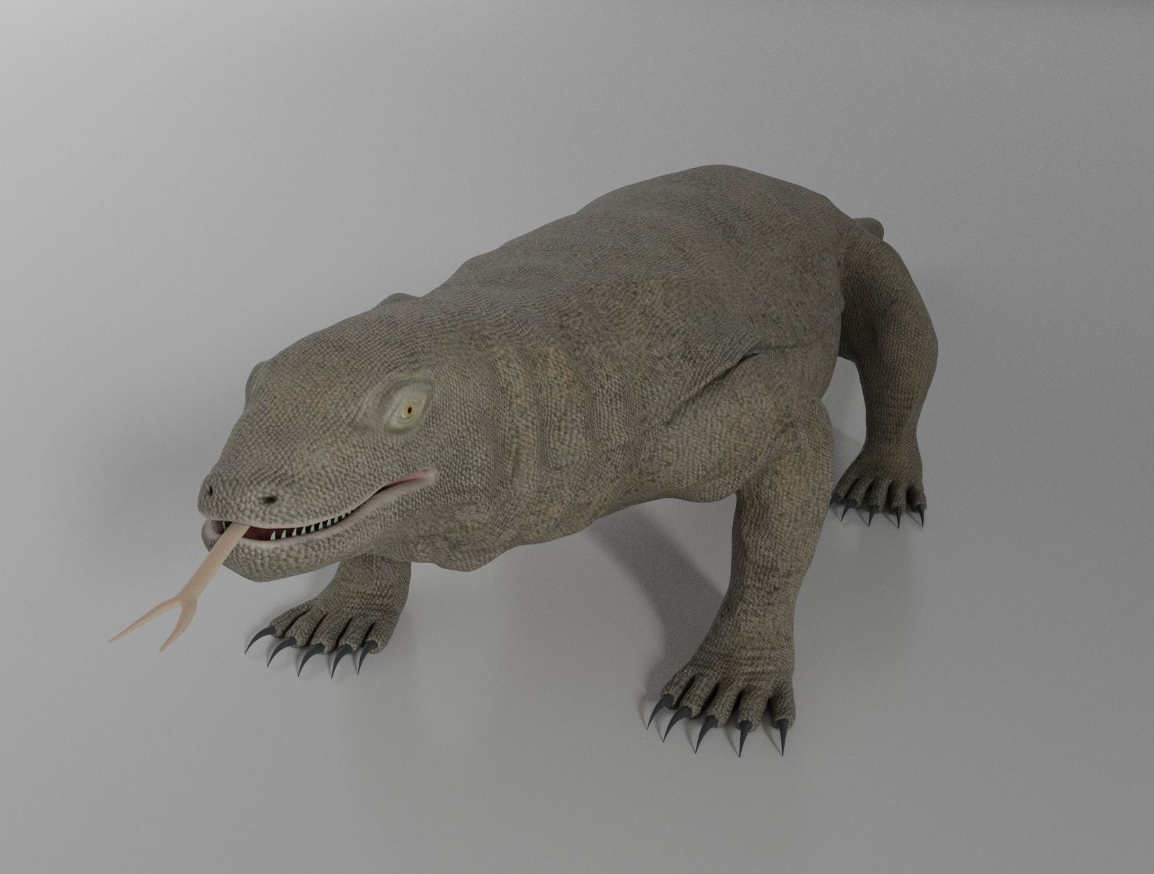 KOMODO DRAGON 3D model_10