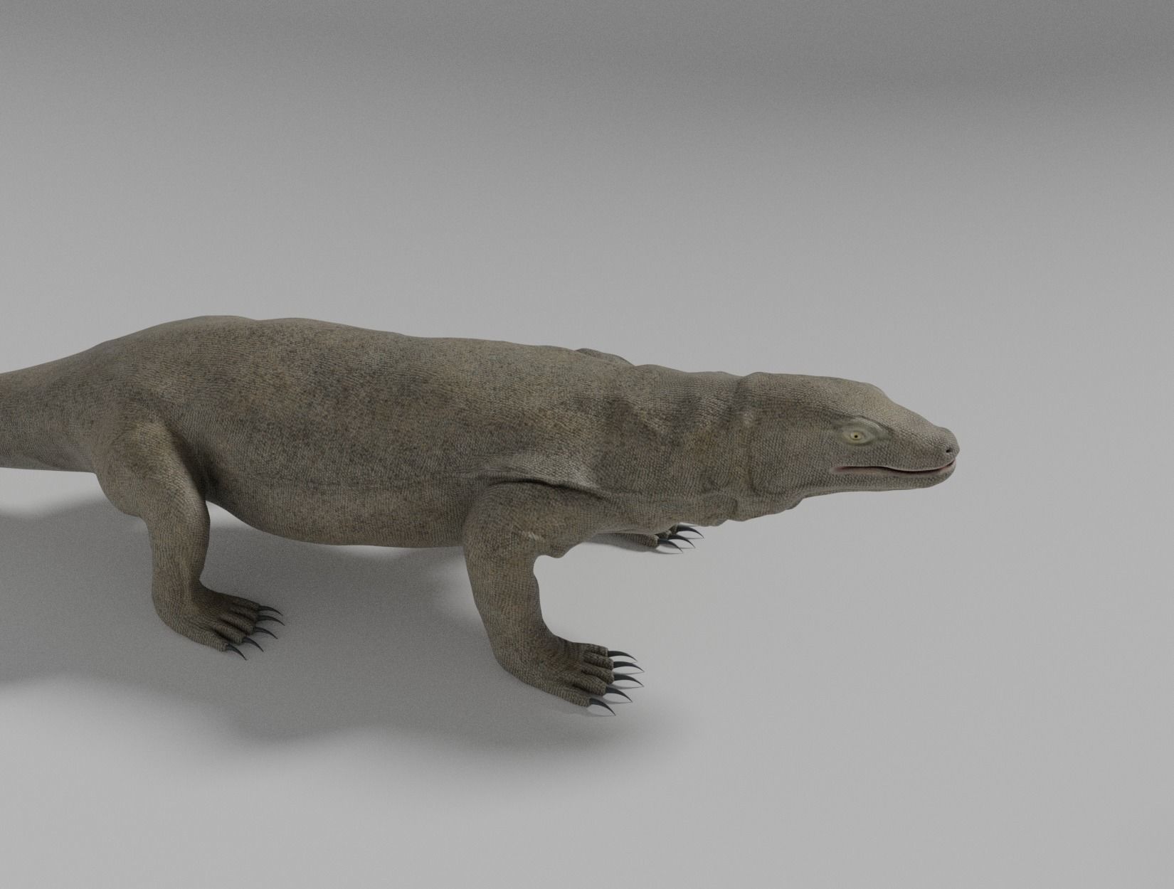 KOMODO DRAGON 3D model_16