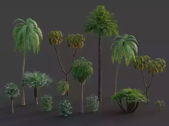 Xfrog GrowFX Palms Collection  