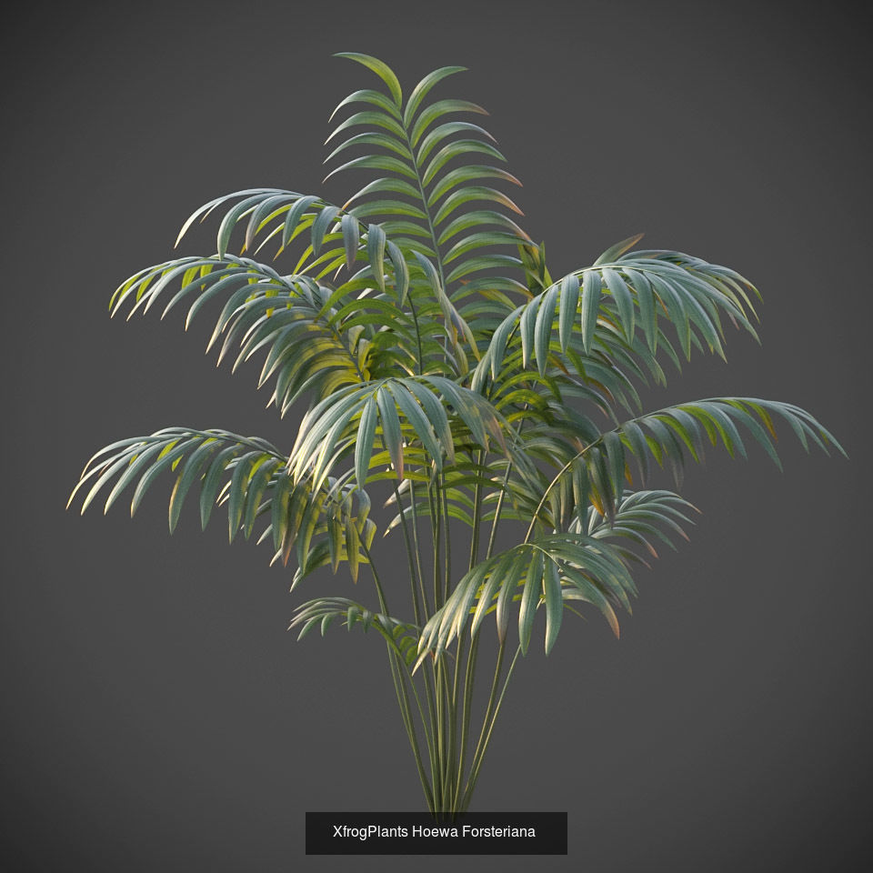 Xfrog GrowFX Palms Collection  _13