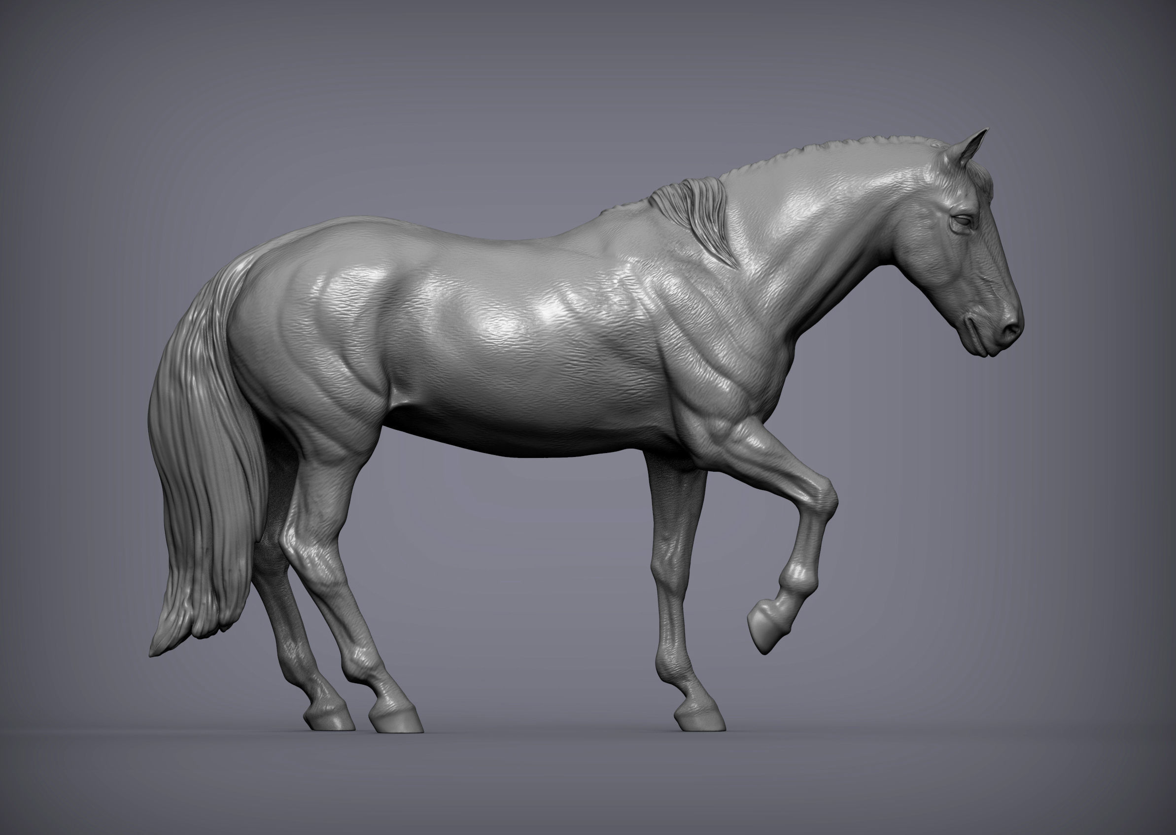 Horse 3D print model_2
